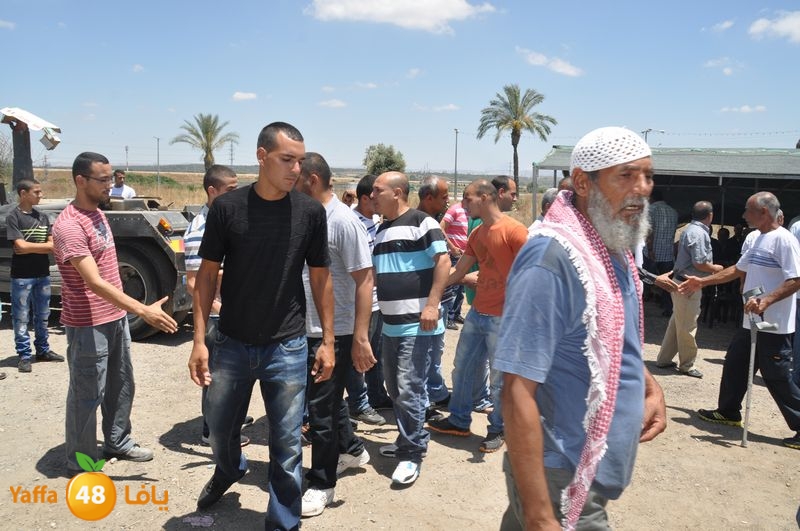 sol7desoqylud615 (60).JPG